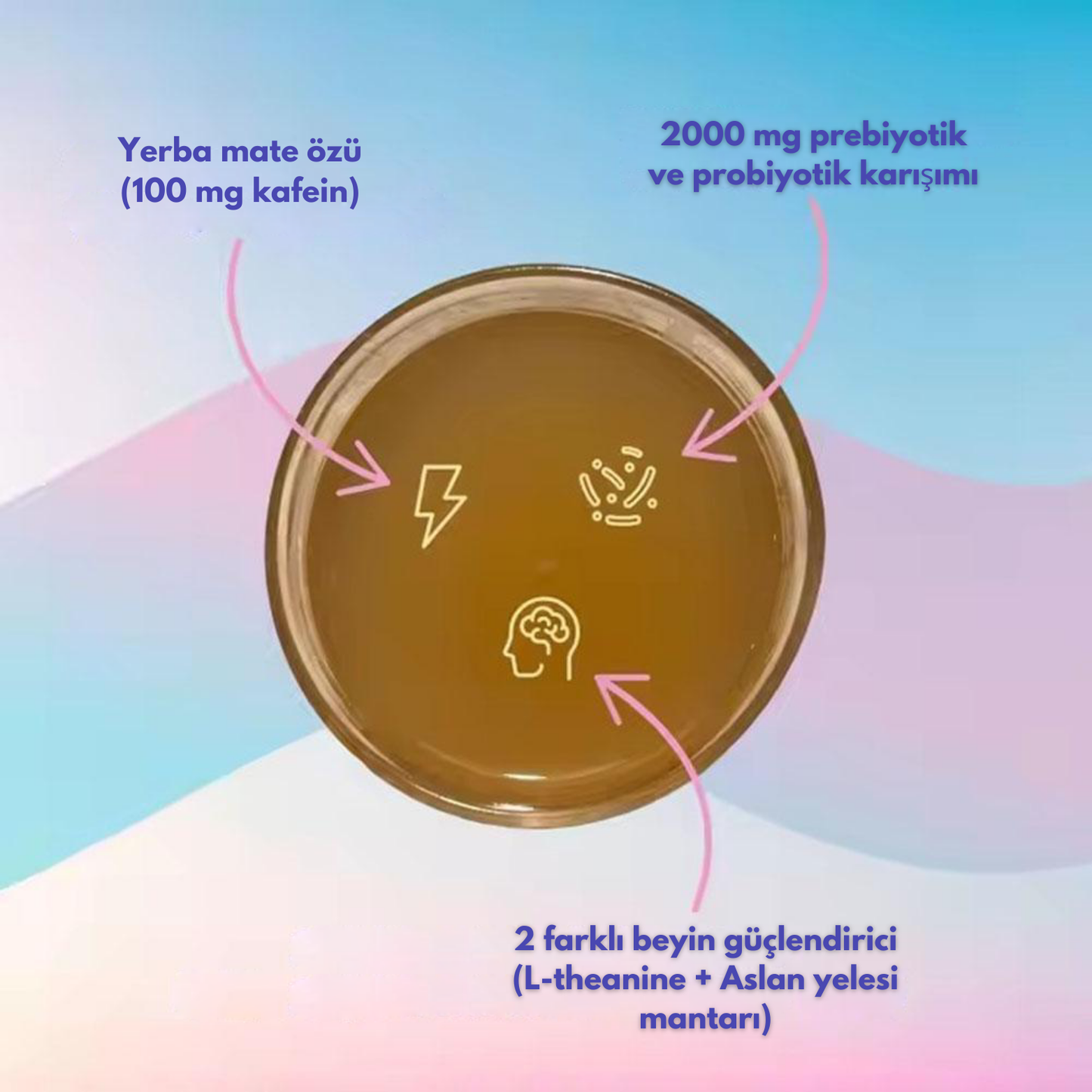 Aphrodite™ Yerba Mate Detoks Çayı